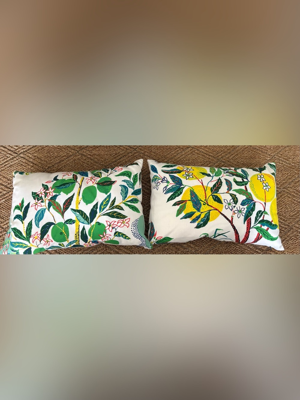Schumacher Pillow Set of 2- Citrus Garden